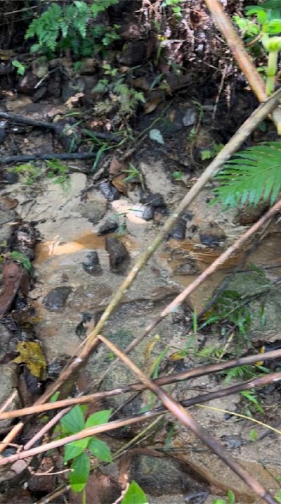 Tanah Pertanian Batu 22 Sungai Lui, Hulu Langat — foto 5/8
