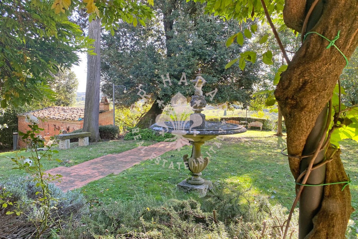 פודרה איל קאזאטו (Podere il Casato) — 16
