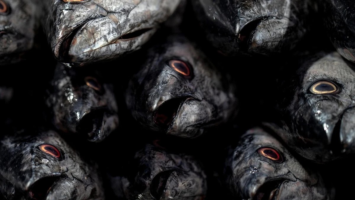 환율 변동과 원자재 가격 연동 구조의 글로벌 인플레이션 영향