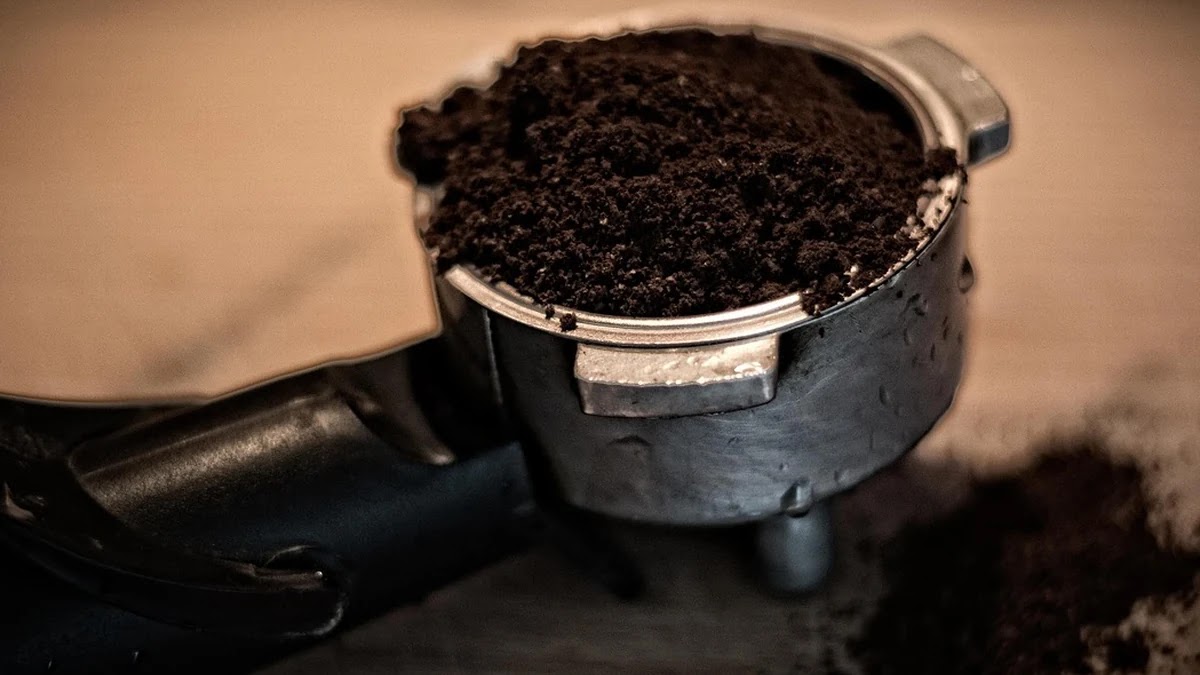 AI 글쓰기 도구별 맞춤형 활용법과 효율성 비교