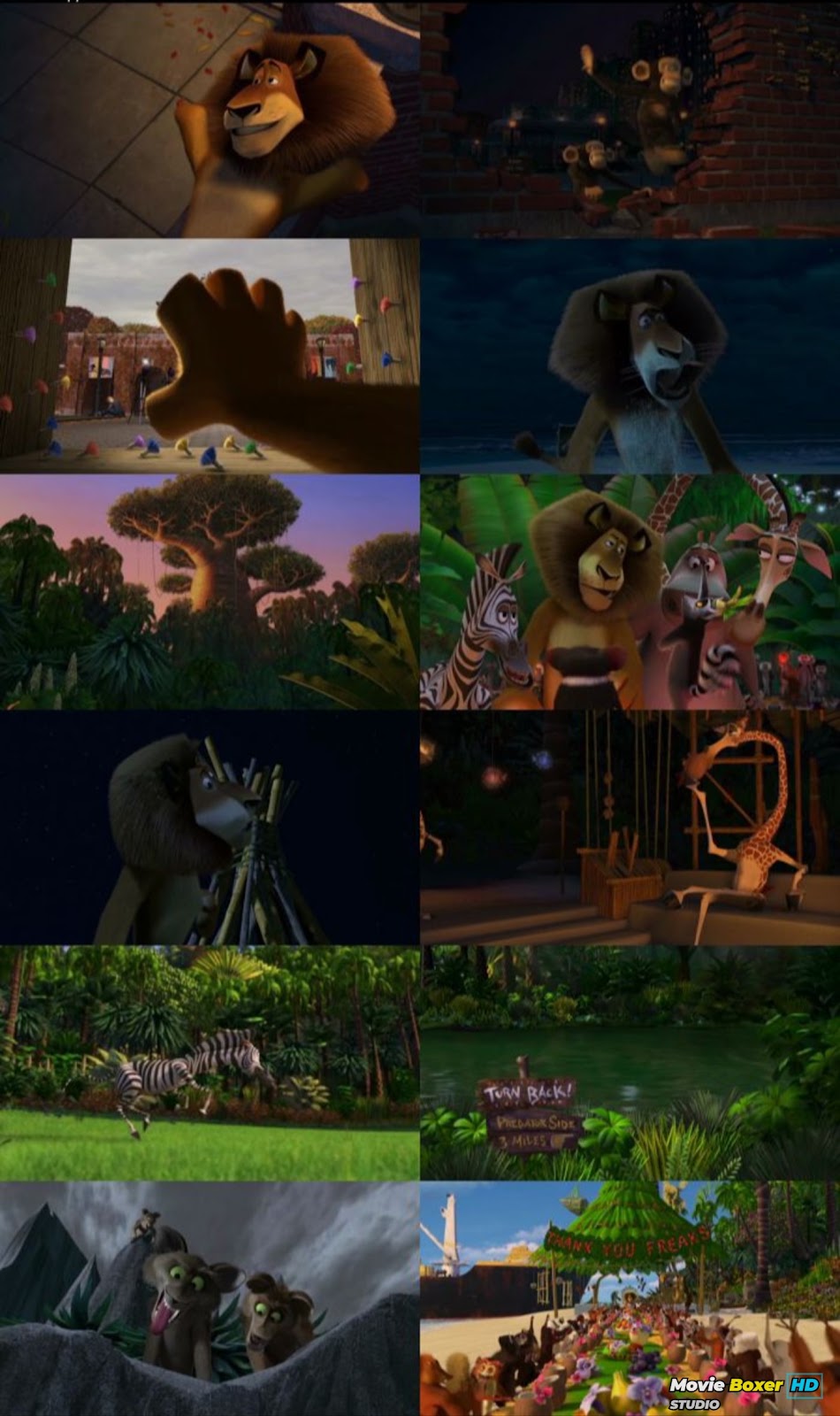 Screenshots Grid