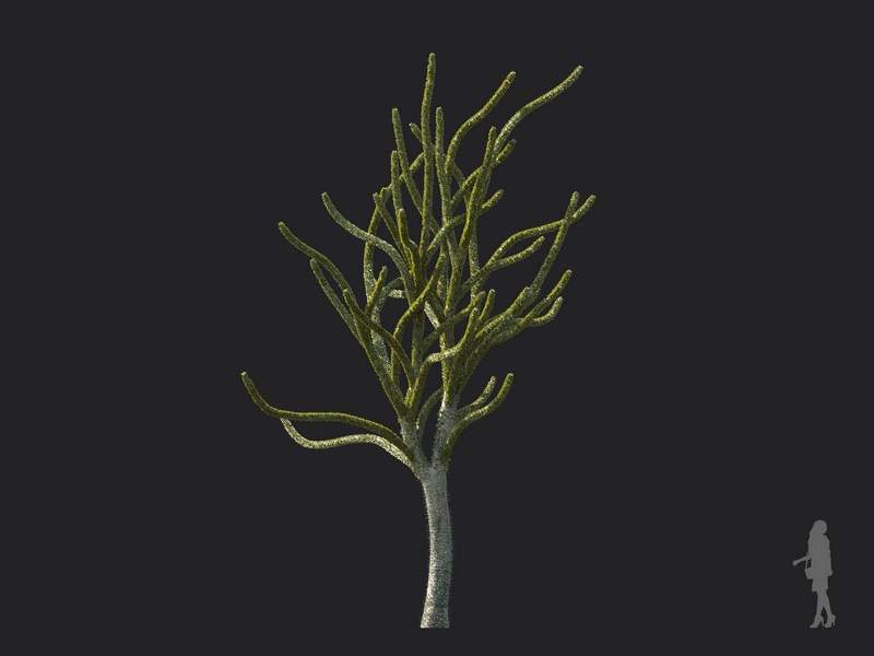 Maxtree - Plant Models Vol.130