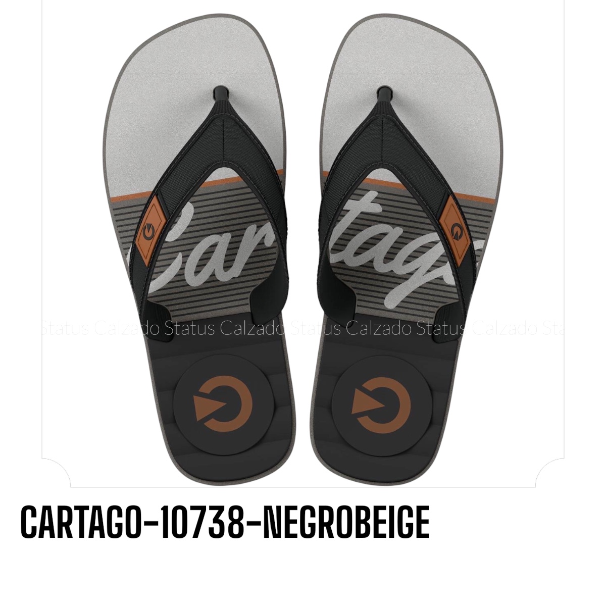 CARTAGO-10738-NEGROBEIGE