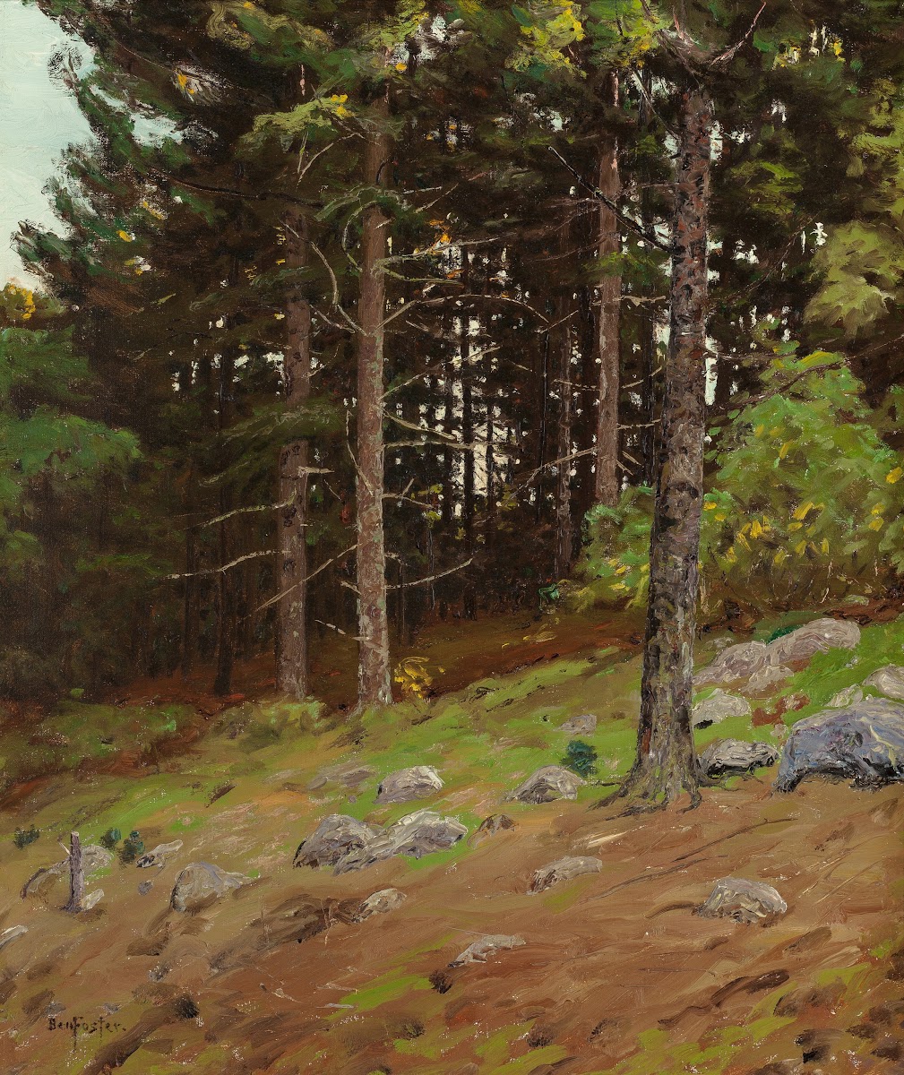 In the Pines