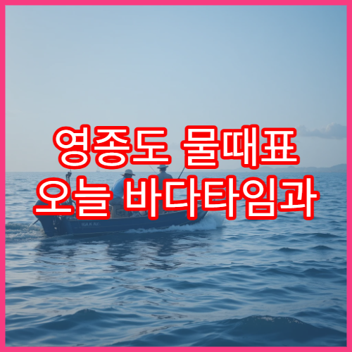 영종도 물때표 오늘 바다타임과 인천 낚시 포인트 상세 정보