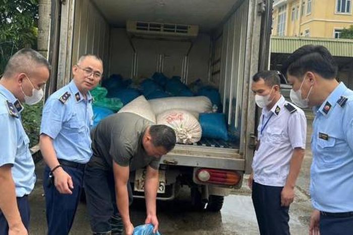 Phát hiện, xử lý hơn 1 tấn lòng lợn ôi thiu trên đường vận chuyển tiêu thụ - Chuyên Trang Doanh nhân &amp; Công lý - Báo Công Lý