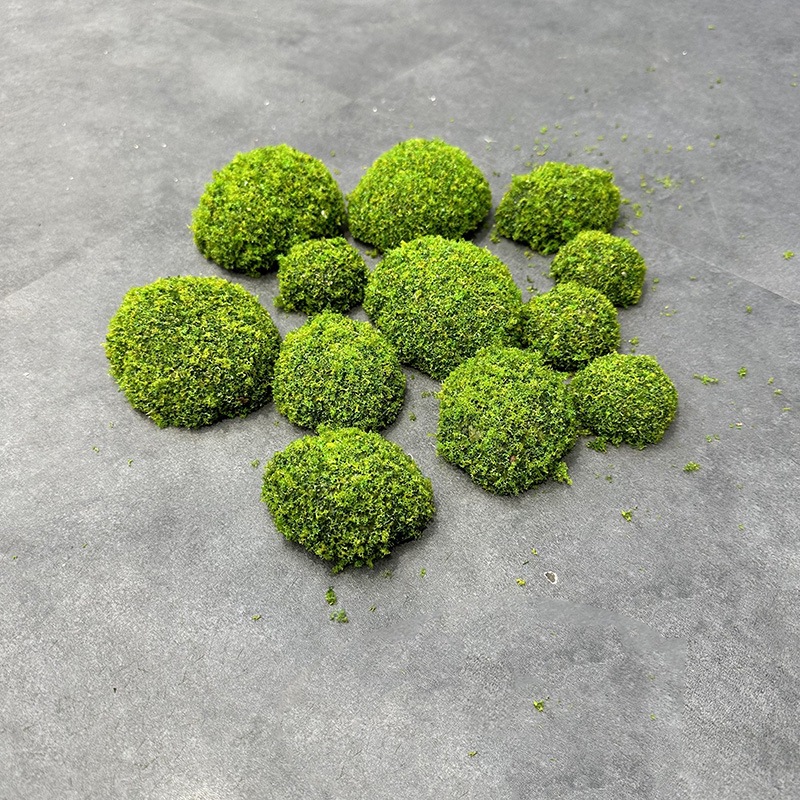 Dried Java Moss Portion