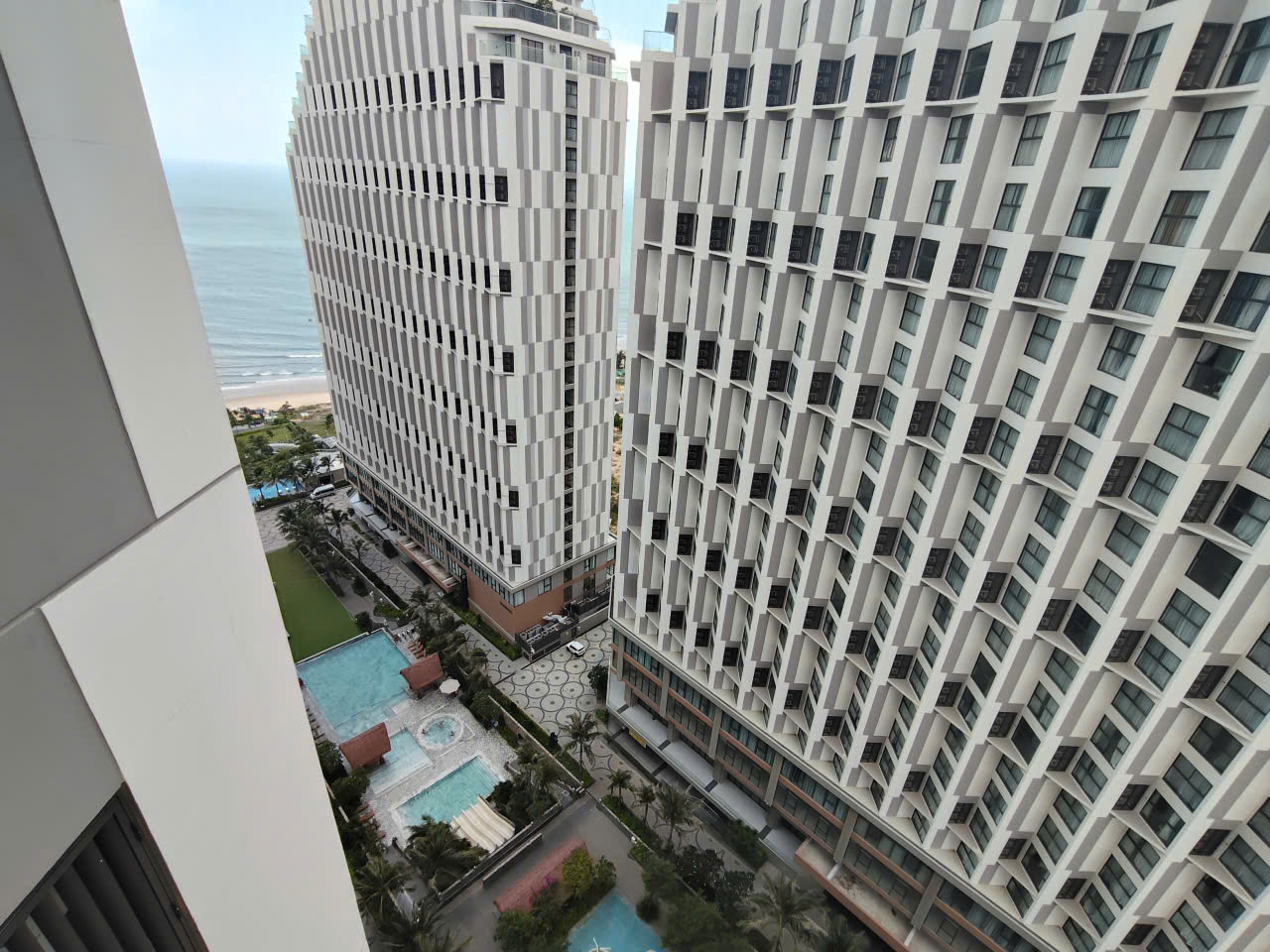 Hoa Sữa - S1623