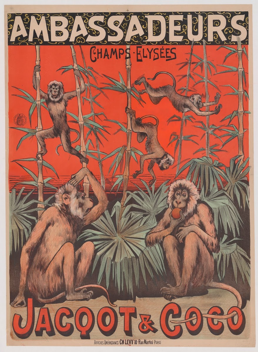 Ambassadeurs Jacquot et Coco duo de singes 1888 1894