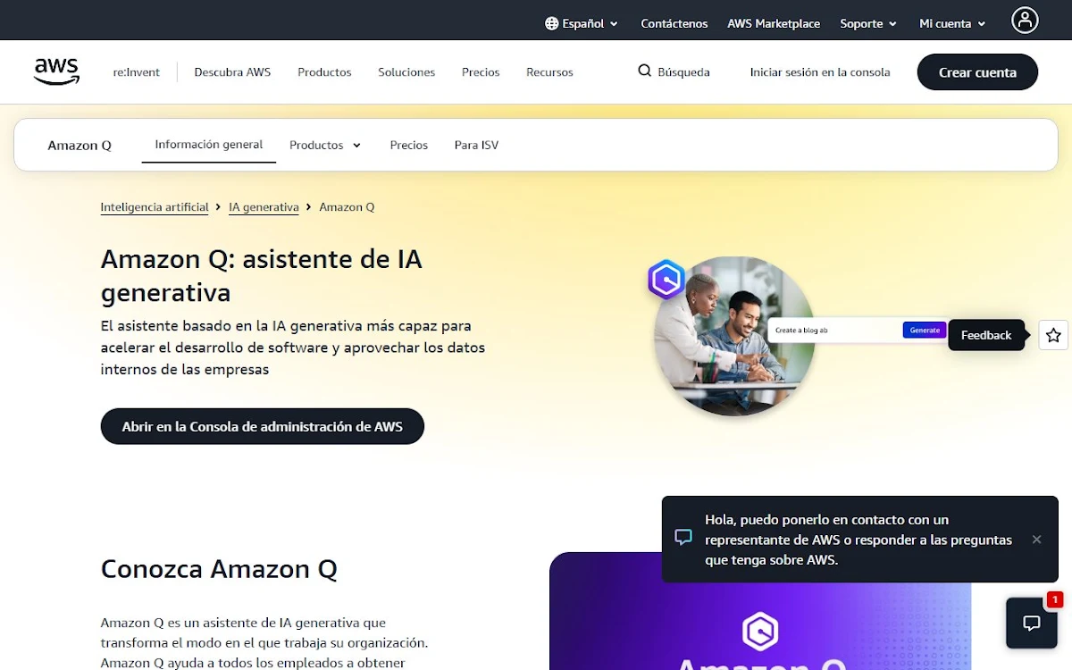 Captura de Amazon Q
