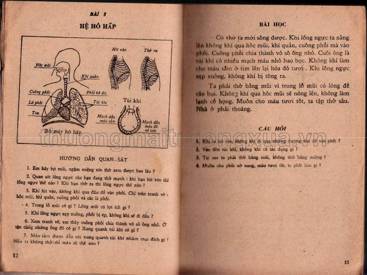 Khoa học thường thức lớp 4 phổ thông (1989) - Trang 7