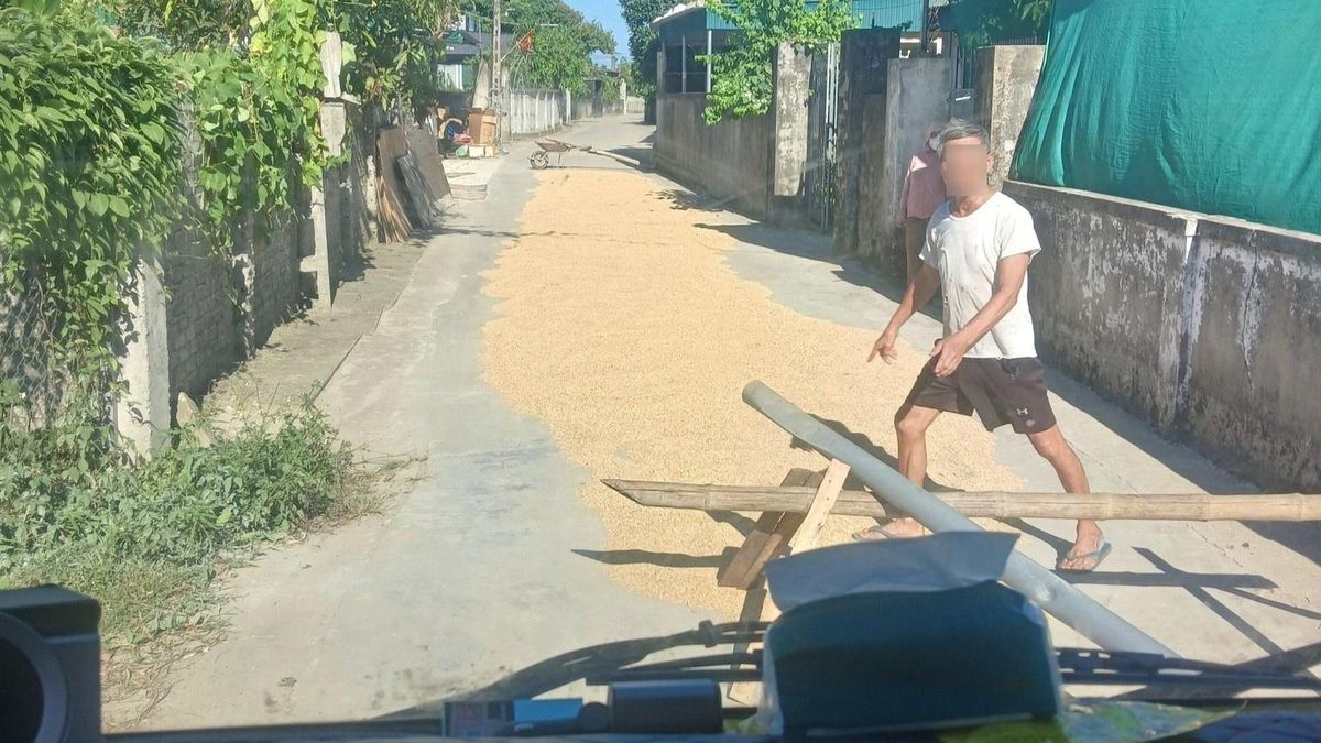 Người dân chặn đường phơi lúa, đập ôtô đi qua gây bức xúc - Tạp chí Tri thức