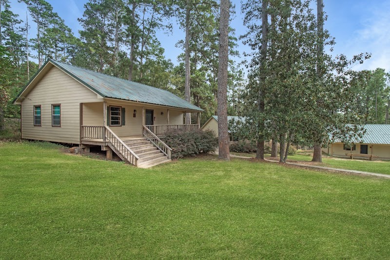 Cedar 1