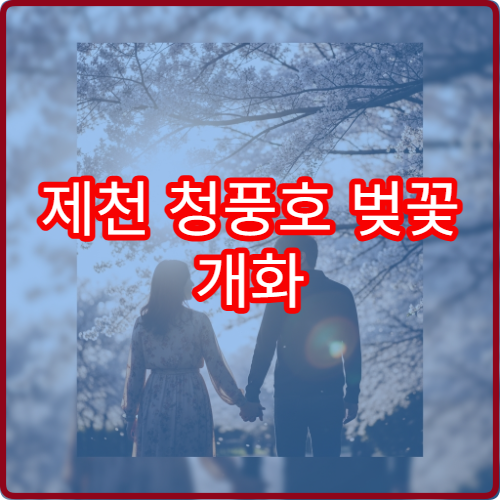 제천 청풍호 벚꽃 개화 늦을 때 대체 속리산 벚꽃 루트 3곳