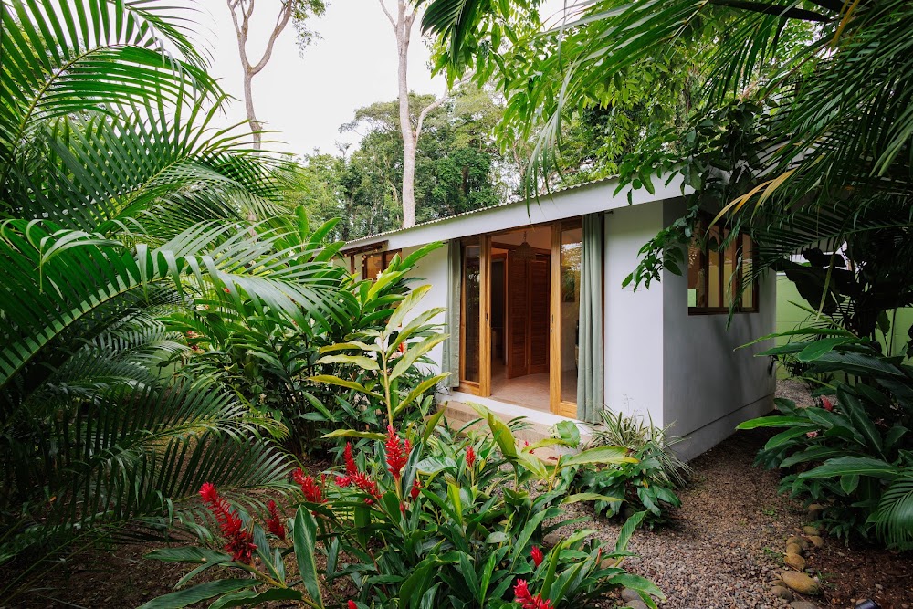 Casa Areka