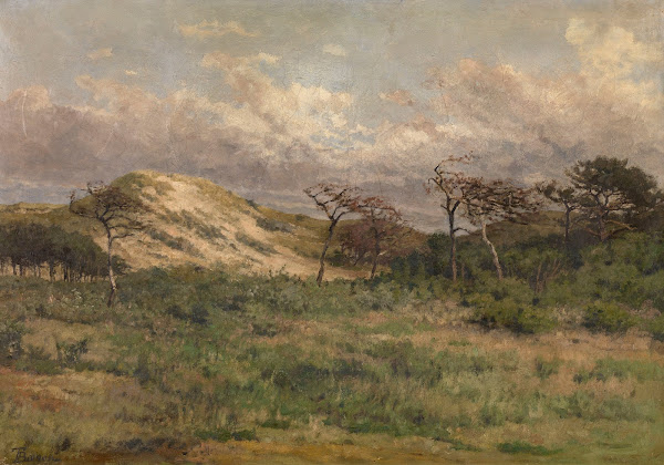 In the Dunes