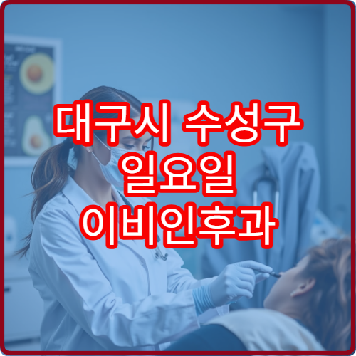 대구시 수성구 일요일 이비인후과 진료 가능한 병원 리스트 자료