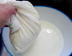 Lấy 1 túi vải mỏng cho khoai đã bào vào vắt cho ra nước (đừng vắt quá khô) nước vắt được để vào 1 tô đợi 30 phút cho lắng trong, chắt nước vàng bỏ đi lấy tinh bột ở dưới đáy tô.