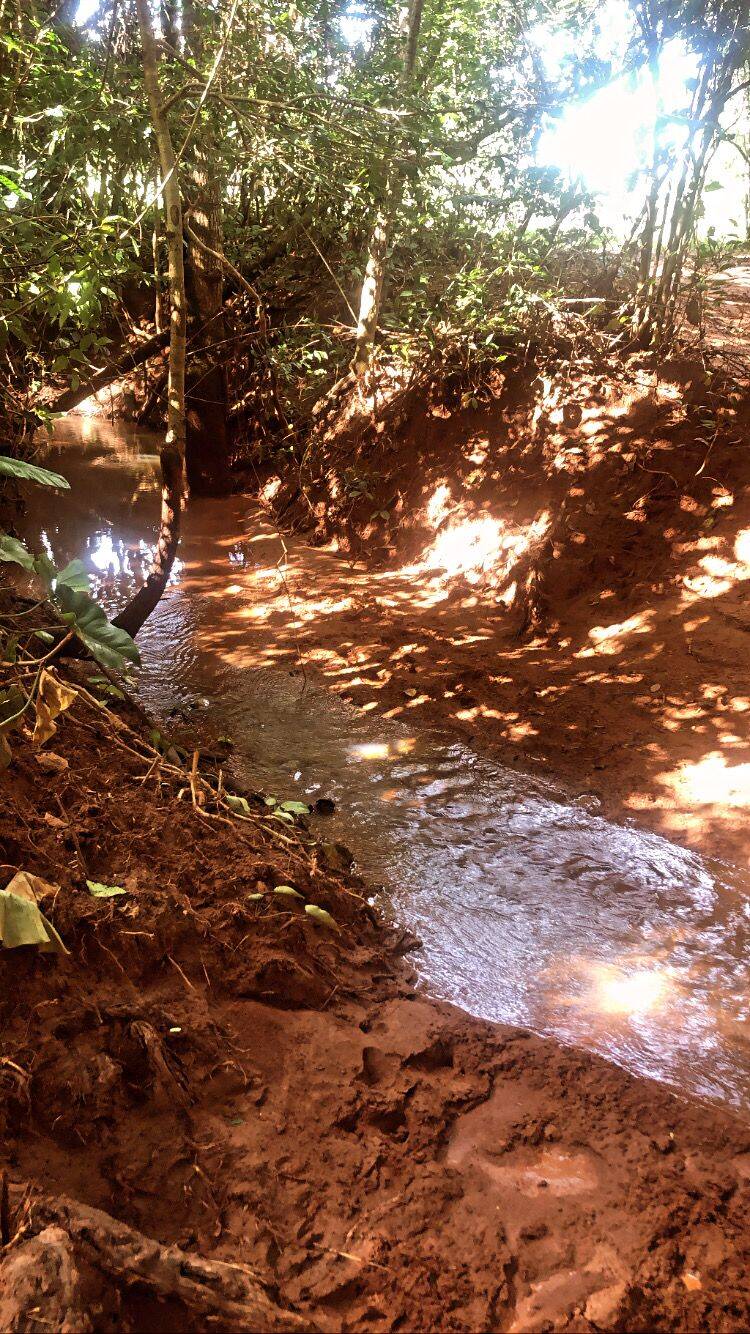 Fazenda em Minaçu-GO 9