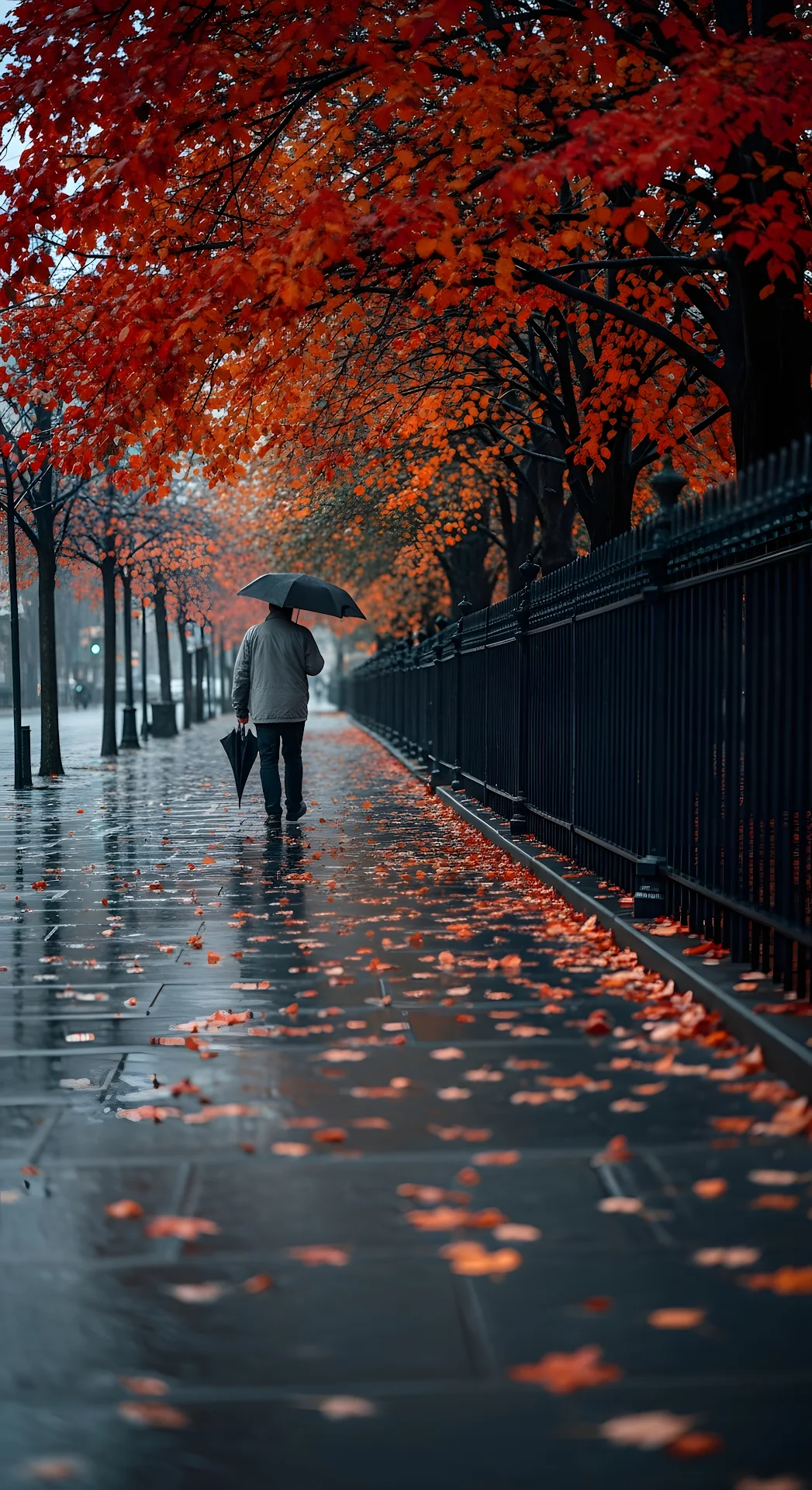 A Man with an Umbrella Walking Down a Wet, Autumn Tree-Lined City Sidewalk in the Rain - Free 4K mobile Wallpaper
