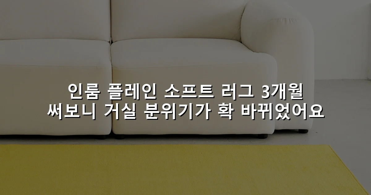 인룸 플레인 소프트 러그 3개월 써보니 거실 분위기가 확 바뀌었어요