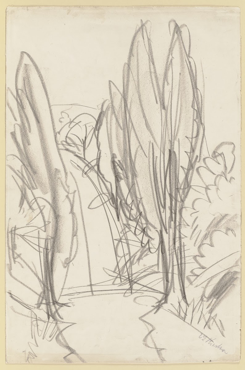 Road in the Taunus ca 1916
