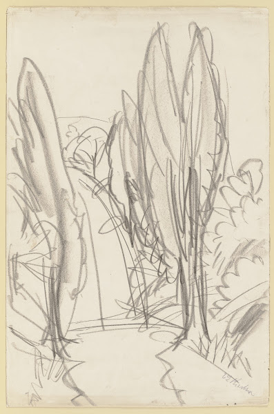 Road in the Taunus ca 1916