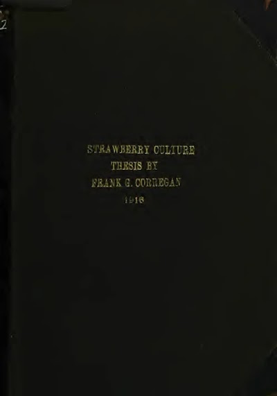 strawberry culture 1916