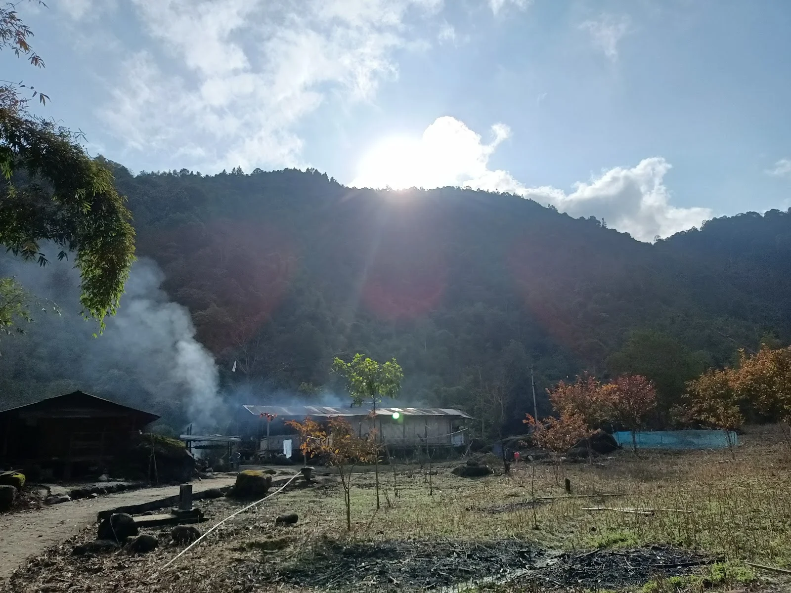 Nyapin