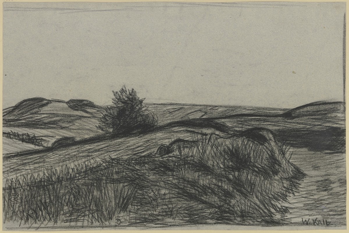 Raised bog