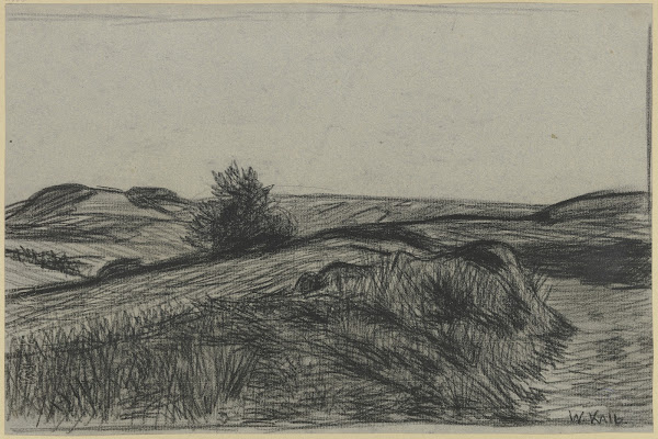 Raised bog