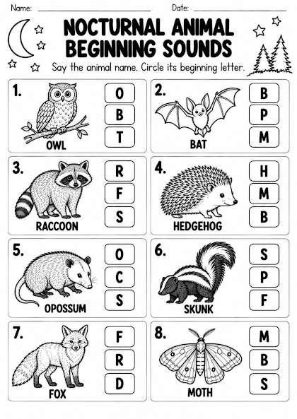 Nocturnal Animal Beginning Sounds Worksheet