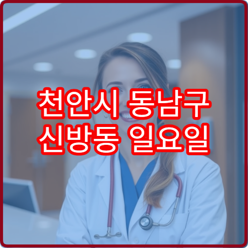 천안시 동남구 신방동 일요일 안과 진료 병원 눈 통증 시 진료 가능 여부