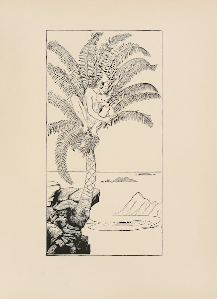 Parsee sitting in his palm tree 1902