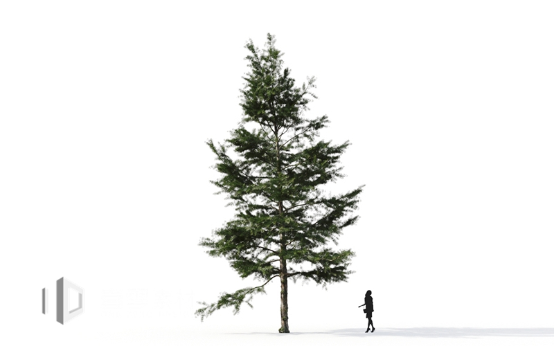 Maxtree - Plant Models Vol.9