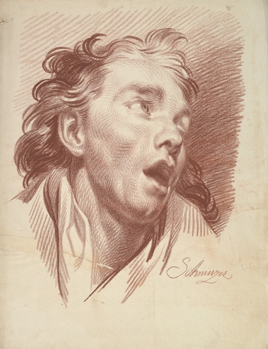 Head of a Youth with Open Mouth 17651810