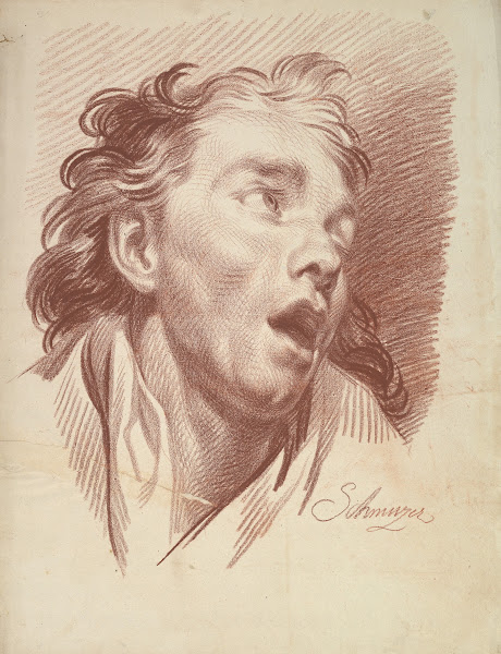 Head of a Youth with Open Mouth 17651810