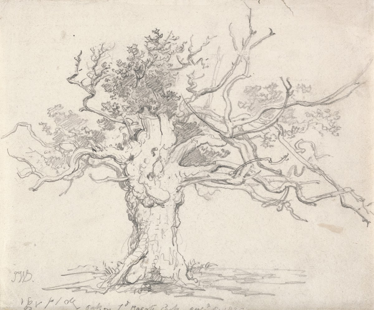 A Stunted Oak 1822