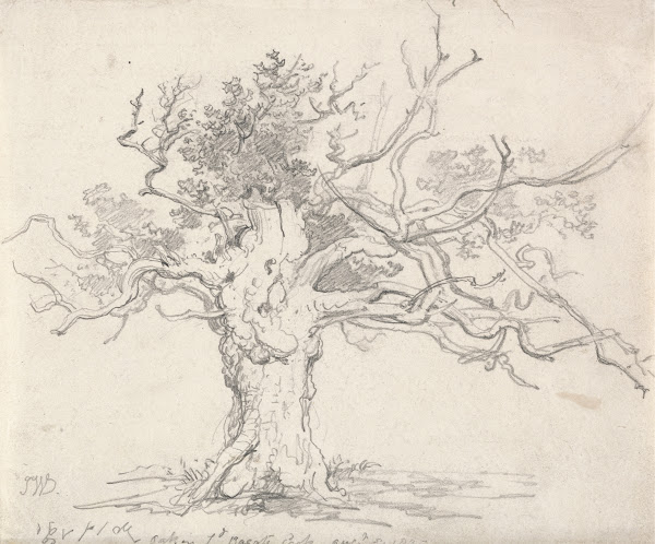 A Stunted Oak 1822