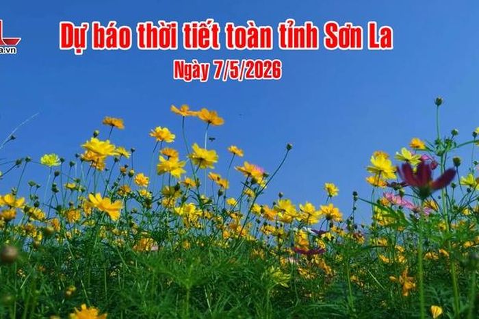Dự báo thời tiết toàn tỉnh Sơn La ngày 7/5/2026 - Báo Sơn La