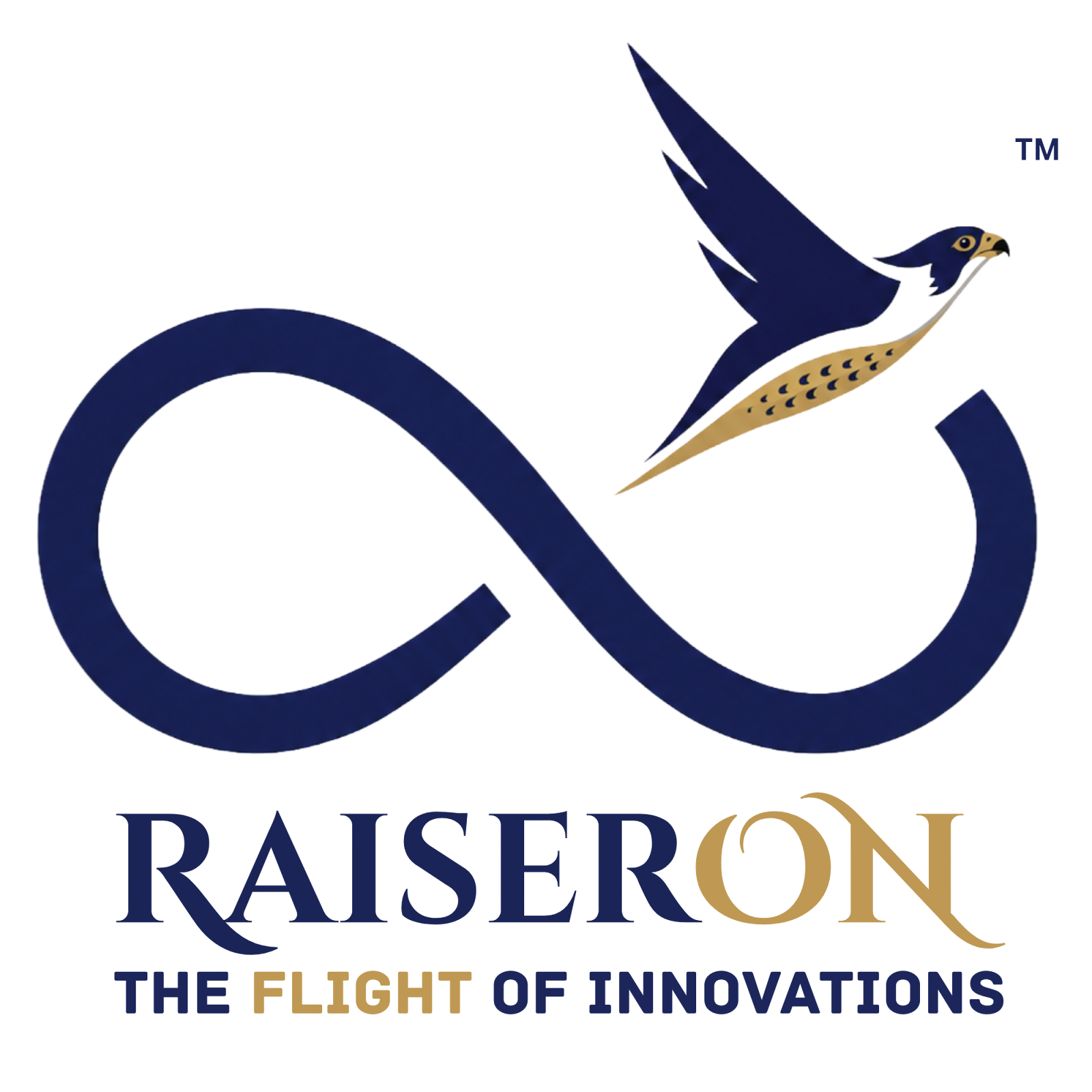 Raiseron Logo