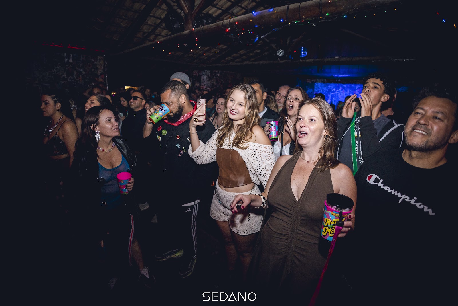Público no show da Jelly Bean