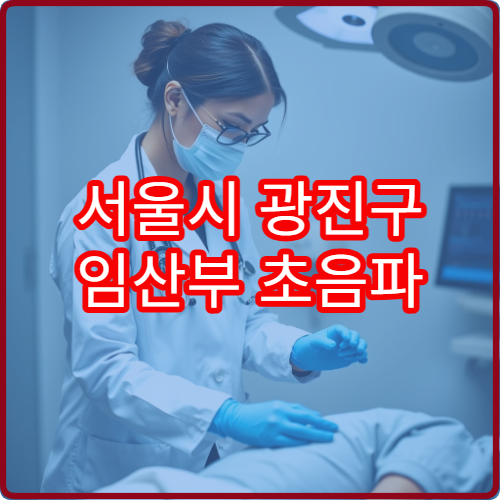 서울시 광진구 임산부 초음파 정밀 검사와 산전 관리 진료 병원