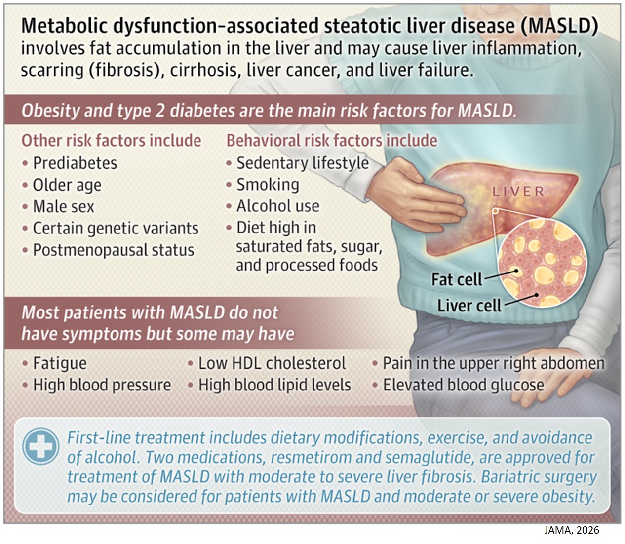 What Is Metabolic Dysfunction–Associated Steatotic Liver Disease?