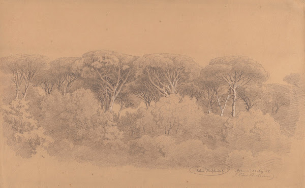 Stone Pines in the Gardens of Villa Barberini in Albano 1857