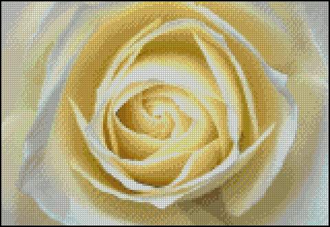 CMP 170509 Mother Of Pearl