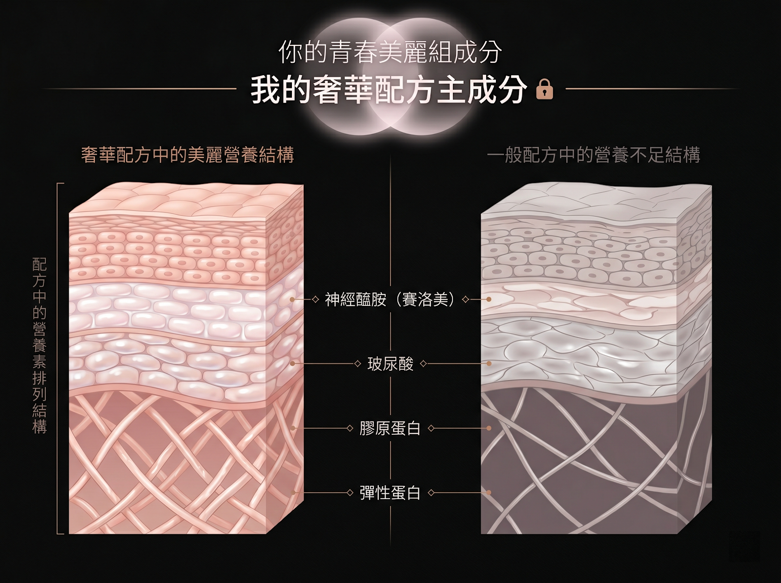 使用步驟 01
