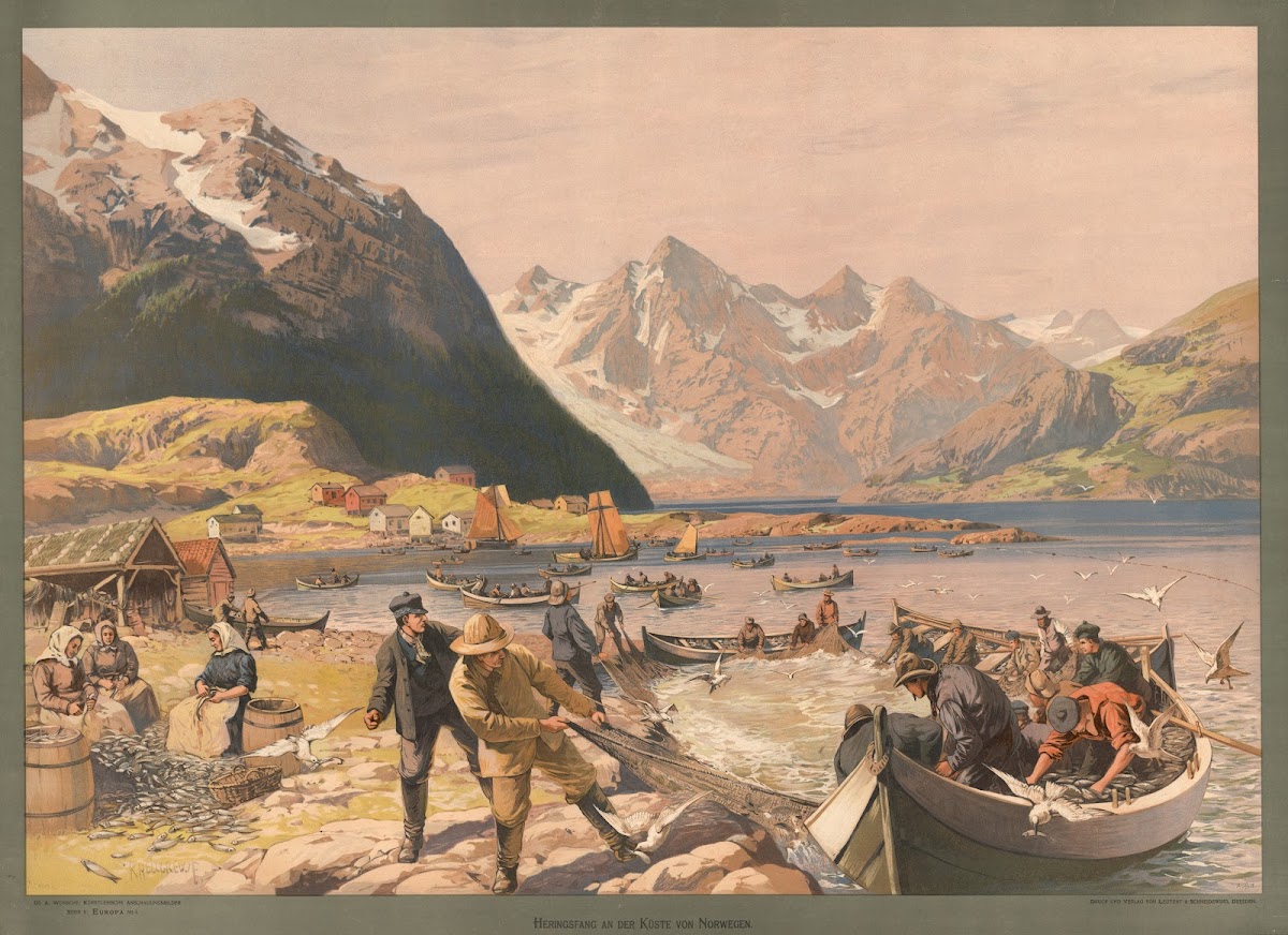 Europa  Heringsfang an der Küste von Norwegen 1907