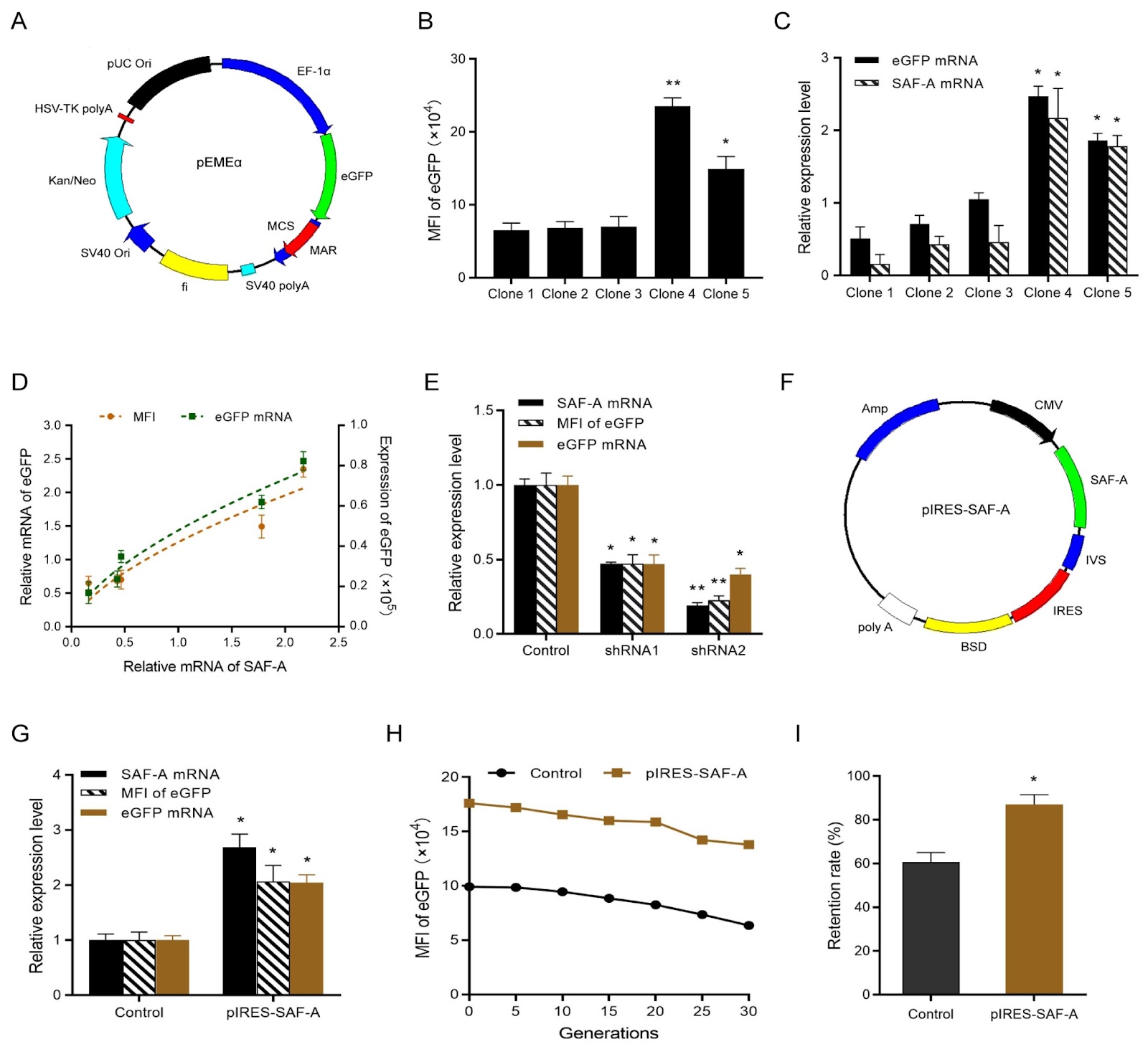 A novel method to increase transgene expression and the stability of gene therapy-associated episomal vectors
