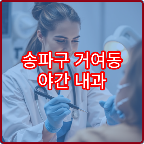 송파구 거여동 야간 내과 진료 가능한 병원 야간 운영 시간 안내